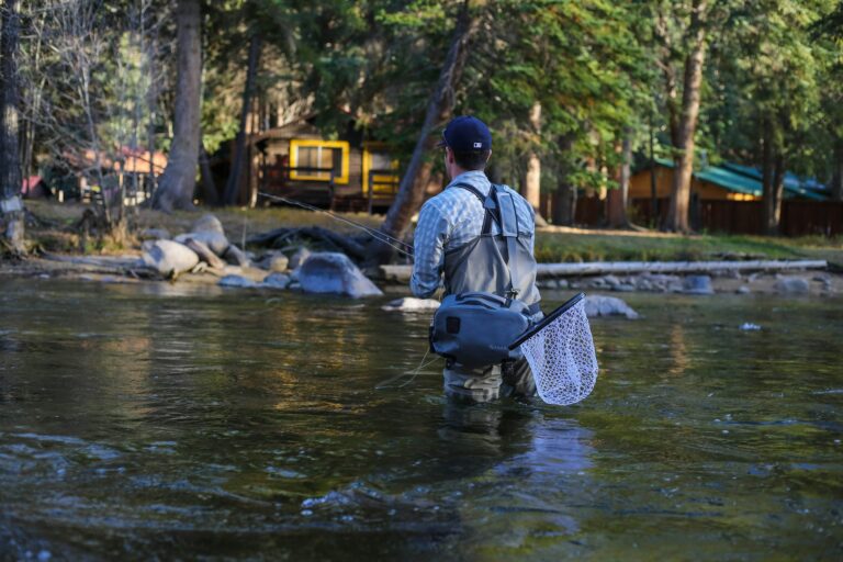 Seasonal Fishing Secrets: How to Catch More Fish Year-Round