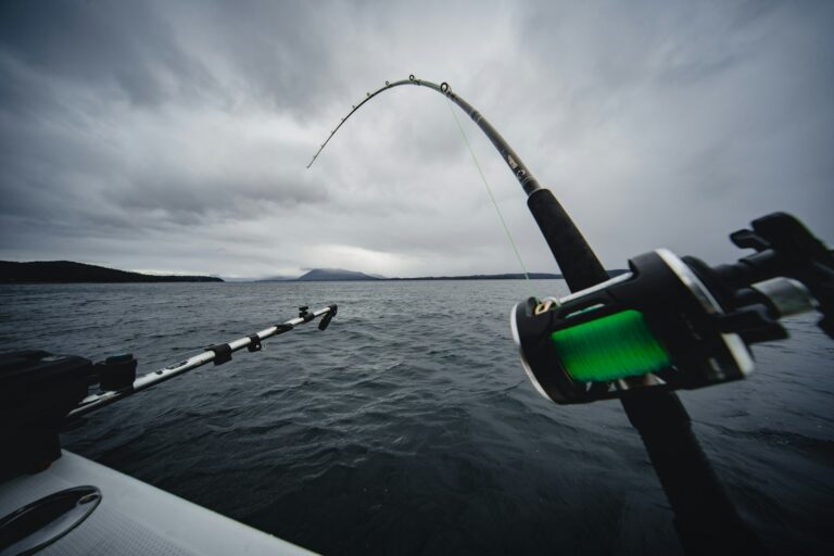 The Ultimate Guide to Reading Water for Better Fishing Results